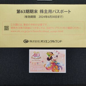 ディズニーリゾート株主用パスポート1枚