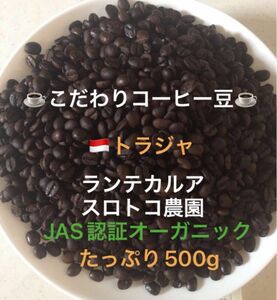 こだわりコーヒー豆　トラジャ　ランテカルア　500g 中深煎り　自家焙煎　スロトコ農園　JAS認証オーガニック