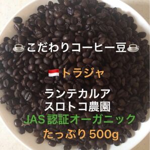 こだわりコーヒー豆　トラジャ　ランテカルア　500g 中深煎り　自家焙煎　スロトコ農園　JAS認証オーガニック