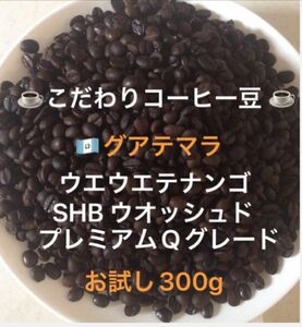 こだわりコーヒー豆　グアテマラSHB ウエウエテナンゴ　300g 中深煎り　自家焙煎珈琲　ウォッシュド　プレミアムQグレード