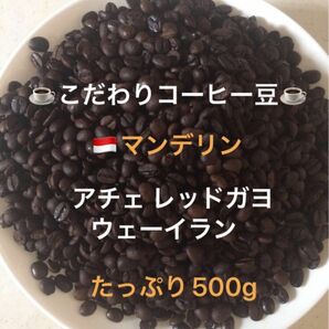 こだわりコーヒー豆　マンデリン　アチェ　レッドガヨ　ウェーイラン　500g 中深煎り　自家焙煎珈琲