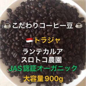 大容量900g こだわりコーヒー豆　トラジャ　ランテカルア　中深煎り　自家焙煎　スロトコ農園　JAS認証オーガニック