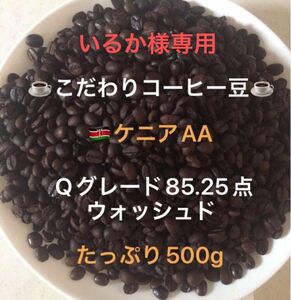 いるか様専用です。こだわりコーヒー豆　ケニアAA 500g 中深煎り　自家焙煎　Qグレード85.25点　ウォッシュド