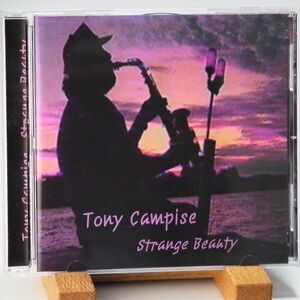 【廃盤】TONY CAMPISE　STRANGE BEAUTY　音良し　熱い演奏　オススメ！