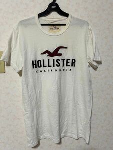 HOLLISTER ホリスター パッチロゴTシャツ 半袖 夏服