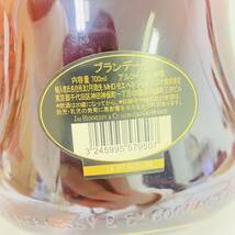 15872/【未開栓】Hennessy X.O COGNAC 金 ヘネシー コニャック ブランデー 700ml 40% 洋酒 フランス_画像7