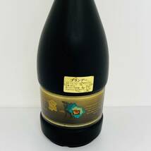 15851/【未開栓】REMY MARTIN NAPOLEON COGNAC 700ml 40% 洋酒_画像6