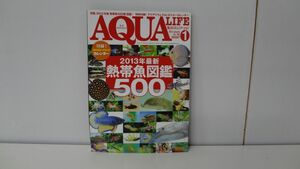  monthly aqua life 2013 year 1 month 