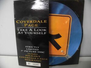 輸入盤EPピクチャーレコード　カヴァーデイル・ペイジ COVERDALE PAGE Take A Look At Yourself