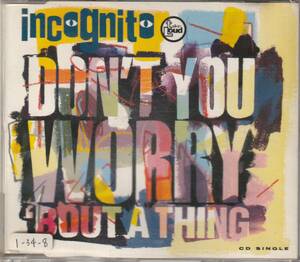 UK盤CDS★Incognito★Don't You Worry 'Bout A Thing★Stevie Wonder カバー★92年★Acid Jazz★試聴可能