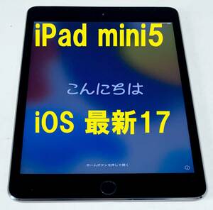 ◆ iPad mini5 本体 64GB ipad mini 第5世代 IPADmini5 apple タブレット アイパッド ゴールドクーポン wifi　ゾロ目の日　5の付く日 0402