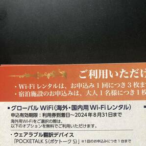 コード通知のみ★ビジョン 株主優待券 9000円分（3000円割引券×3枚）★2024年8月まで★Vision グローバルWifi レンタル グランピングの画像2