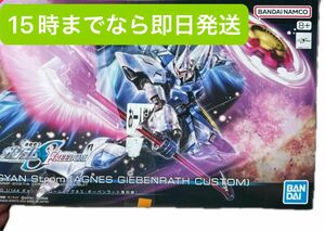 HG 1/144 ギャンシュトローム (アグネスギーベンラート専用機) プラモデル 機動戦士ガンダムSEED FREEDOM