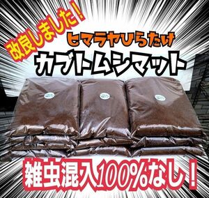 カブトムシ幼虫の餌☆栄養価抜群！改良版！ヒマラヤひらたけ発酵マット【3袋】国産カブトムシ87ミリ羽化実績！便利なチャック付き袋入り