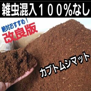 改良版！ヒマラヤひらたけ発酵カブトムシマット☆完成室内製造で雑虫混入全くなし！幼虫が丸々太ります！産卵にも抜群！栄養添加剤入り！