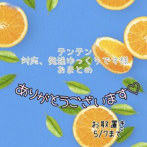 テンテン対応、発送ゆっくりです様 おまとめパーツ(o^^o)