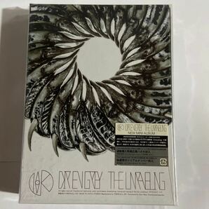 THE UNRAVELING(DVD付) [初回限定盤]の画像1