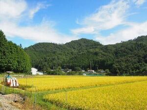  safety . beautiful taste ... root .. exist . rice tagame... paddy field Hyogo R5 year kin hikari new rice brown rice 10kg 1 etc. rice germination brown rice .. pesticide relation search less pesticide have machine 