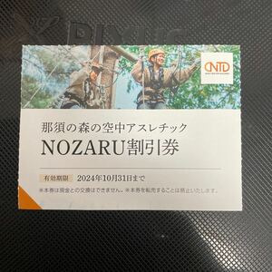 那須の森の空中アスレチック　NOZARU 割引券　1枚　4名まで使用可能　匿名発送　追跡OK