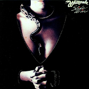 ◆◆WHITESNAKE◆SLIDE IT IN 84年作 国内盤 UKオリジナル・ミックス ホワイトスネイク スライド・イット・イン 即決 送料込◆◆