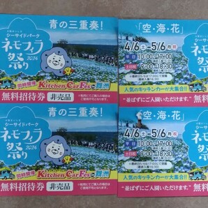 ＊送料無料＊大阪シーサイドネモフェラ祭り＊招待券４枚＆割引券２枚セットの画像2