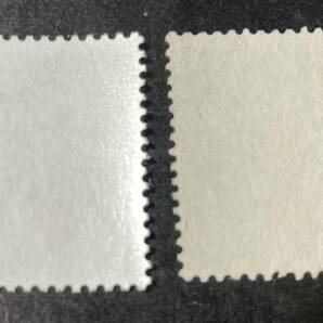 印刷エラー切手（赤い色の印刷ズレ）6円 使用済 南天 参考のため 同時期に印刷された未使用の正常品とセット 激レアの画像2