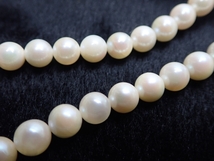 C885　アコヤ真珠 パール ネックレス　本真珠　5.9-6.5mm 長さ 43cm　23.3ｇ　SILVER　【鑑別書付】　ヴィンテージ　Pearl Necklace_画像8