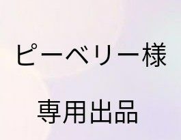 ピーベリー様専用出品　こちらはおまとめ交渉済の方の専用出品です