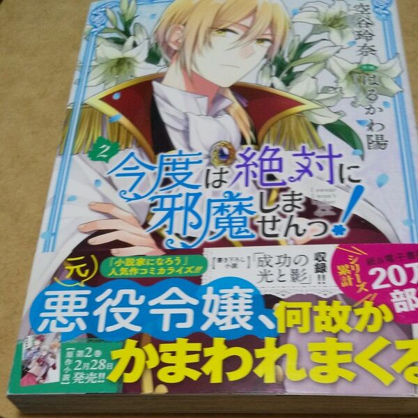 今度は絶対に邪魔しませんっ！　　　２ （バーズコミックス） はるかわ　陽　画