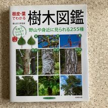 樹皮・葉でわかる樹木図鑑　野山や身近に見られる２５５種 菱山忠三郎／監修_画像1