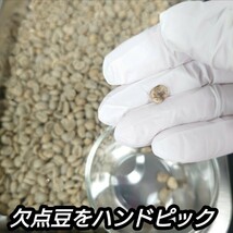 【粉】 コスタリカ フォレストマウンテン 400g コーヒー 珈琲 自家焙煎 コーヒー豆 スペシャルティコーヒー_画像3