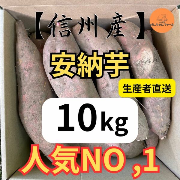 【信州産】超熟成安納芋10kg