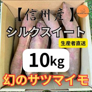 【信州産】超熟成シルクスイート10kg