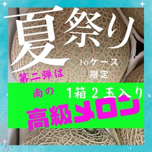 速報！大人気企画！青肉メロン　5Lサイズが登場【ビックリメロン祭】九州産　アールスメロン