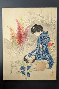 Art hand Auction S41205 Антикварное искусство, аутентичная гравюра на дереве укиё-э, красивая картина Нисики-э, Кейшу Такеучи, кошка и женщина, большой размер, старинная вещь, рисование, Укиё-э, Распечатать, Красивая женщина рисует
