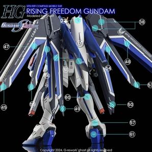 HG 1/144 ライジングフリーダムガンダム専用水転写式デカール RISING FREEDOMの画像5