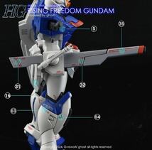 HG 1/144 ライジングフリーダムガンダム専用水転写式デカール RISING FREEDOM_画像6