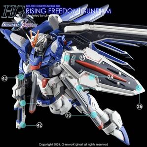 HG 1/144 ライジングフリーダムガンダム専用水転写式デカール RISING FREEDOMの画像4