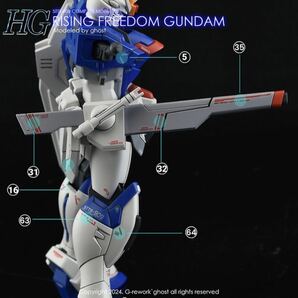 HG 1/144 ライジングフリーダムガンダム専用水転写式デカール RISING FREEDOMの画像6