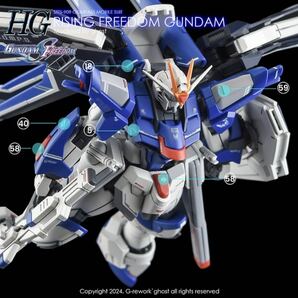 HG 1/144 ライジングフリーダムガンダム専用水転写式デカール FREEDOMの画像9