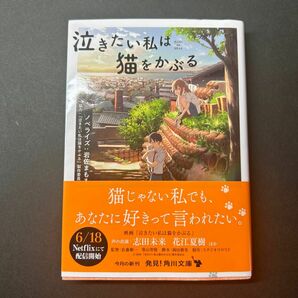 泣きたい私は猫をかぶる （角川文庫　お７４－１２） 岩佐まもる／ノベライズ