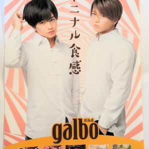 SexyZone 中島健人、菊池風磨　 明治　ガルボ　galbo ファイルです。