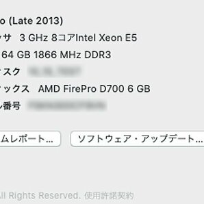◇ Apple MacPro Late 2013 MQGG2J/A CTO【Xeon E5 8コア 3.00GHz/64GB/SSD 1TB/D700 x 2/Wi-Fi/動作確認済み/同梱発送不可】の画像9