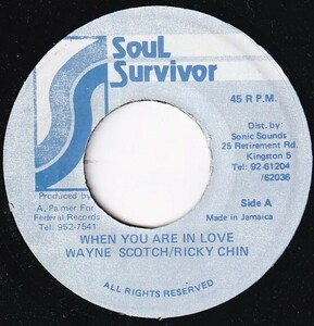 7インチ Wayne Scotch , Ricky Chin / When You Are In Love / Soul Survivor