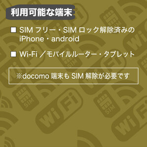 (50GB 31日間) (docomo回線) データ通信専用プリペイドSIM（規定容量使用後も期間中は低速でご利用可）の画像3