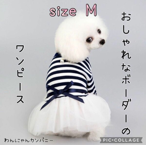 春新商品　★可愛いボーダーのリボン付きワンピース★ ペット犬服　フリルスカートM