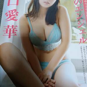 沢口愛華 雑誌グラビア切り抜き(6種類)付録ポスター(1枚)の画像1