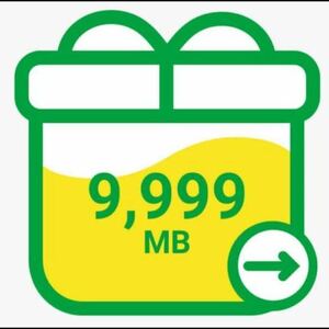 【迅速対応】mineo パケットギフト 約10GB(9999MB)　　（124）