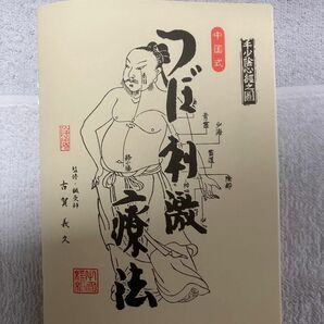 【おまけ付き】つぼ刺激療法／東洋医学研究所／監修・鍼灸師、古賀義久／おまけ、未開封の黒色マスク