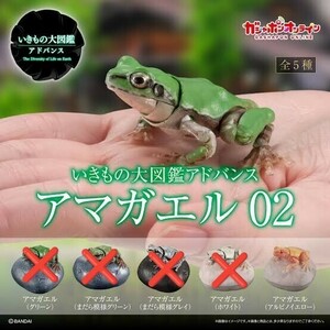 いきもの大図鑑アドバンス アマガエル02 アルビノイエロー ガシャ ガシャガシャ ガシャポン オンライン バンダイ ΔΔ